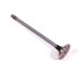 VALVE EXHAUST -STELLITE