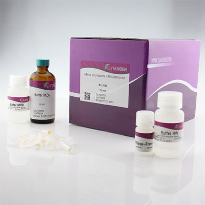 miRNA Isolation Extraction Kit
