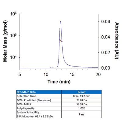Protein, Recombinant Human Noggin Protein, 100 &micro;g
