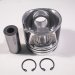 PISTON, PIN & CLIPS STD