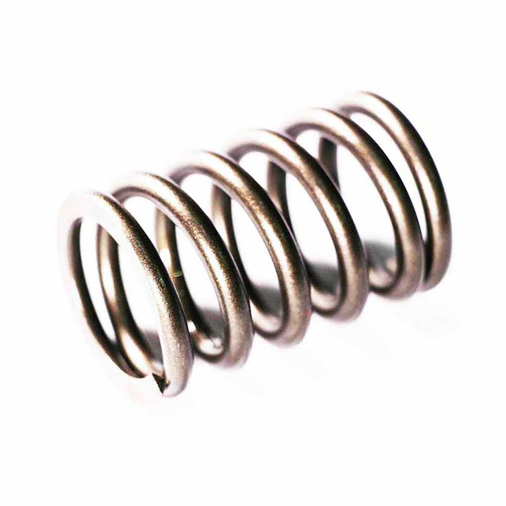 VALVE SPRING