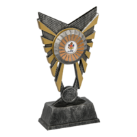 23cm Plastic Blaze Plaque  (V2251)