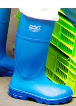Pollyboot PU Wellingtons S4 CI FO SRC