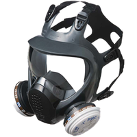 20CF01-L STS Full Face Respirator TPR