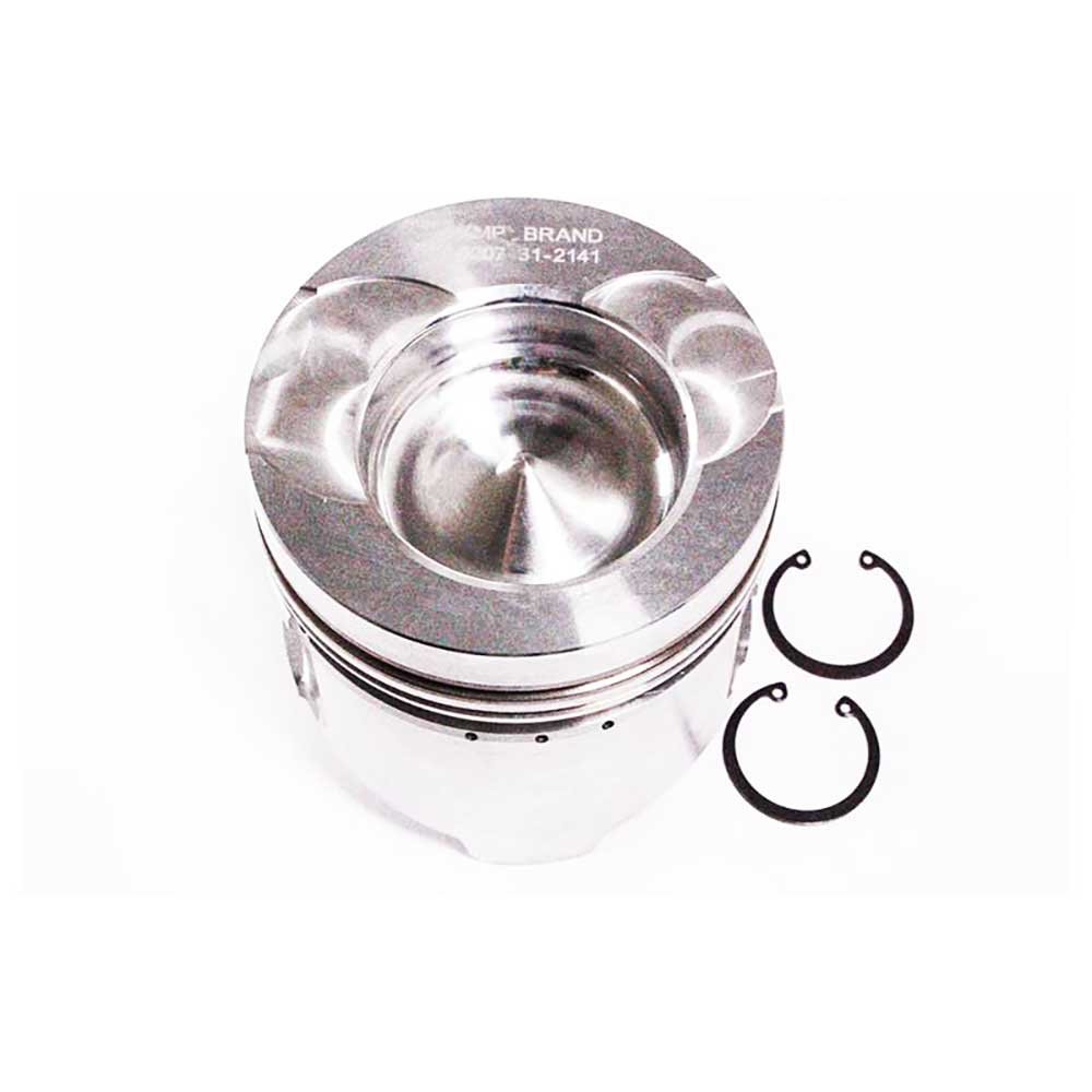 PISTON BODY C/W CLIPS