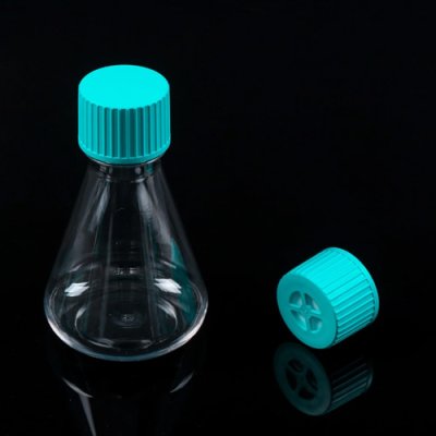Erlenmeyer Flask