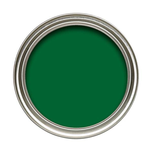 Dulux High Gloss Sheffield Green Colour Swatch