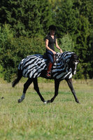 Riding Rug Zebra, 135/M