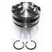 PISTON BODY C/W CLIPS (3045948)