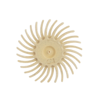 5090 SOFLEX PREPOLISH SPIRAL NAWE/ANZ/SA