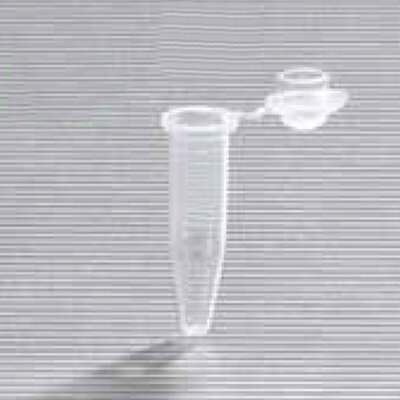 Thin Wall Individual Tube w/dome cap