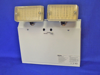 2 X 3W LED Non-Maintained Twin Spot