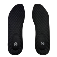 Bodytech, PU Insole, Breathable, Antibacterial, Pair