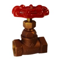 Globe Valve, Straight, 1/2", Bronze