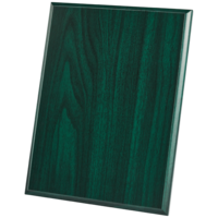 30x22.5cm (12x9'') Green Plaque with Strut