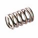 VALVE SPRING