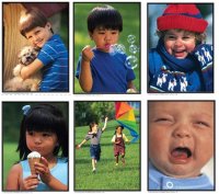 Language Cards - Verbs Action