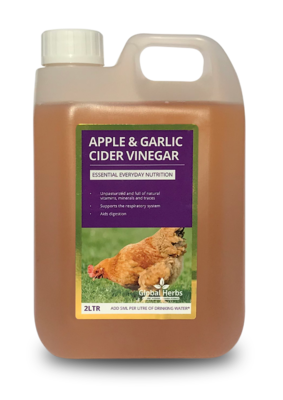 Global H Apple & Garlic Cider Vinegar(C)