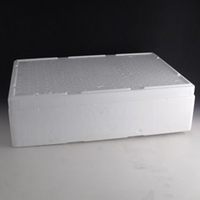 Polystyrene Insulating box