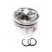 PISTON BODY C/W CLIPS STD