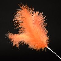 3 Feathers Spray Orange (H)28cm -  Pack of 36