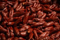 Pet Food Kitchen Lamb Sausages Small 3kg