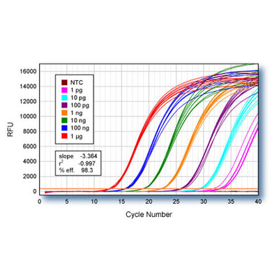qScript cDNA Flex Kit, 100 Reactions