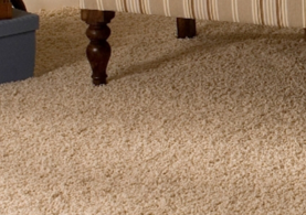 Carpet and Fabric Cleaners