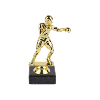 14cm Gold Boxing Trophy Male (V201)