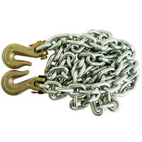 Body Chain 10Mm - 2 Hook