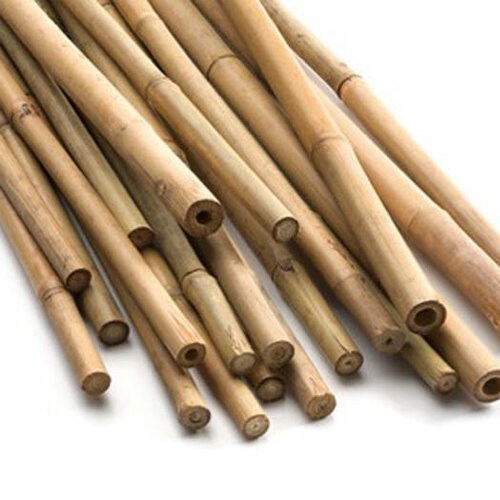 Bamboo Canes 4' (20 Pack)
