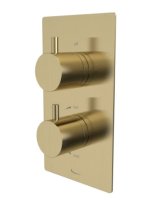 QUANTUM DUAL FUNCTION SHOWER VALVE BRUSHED BRASS