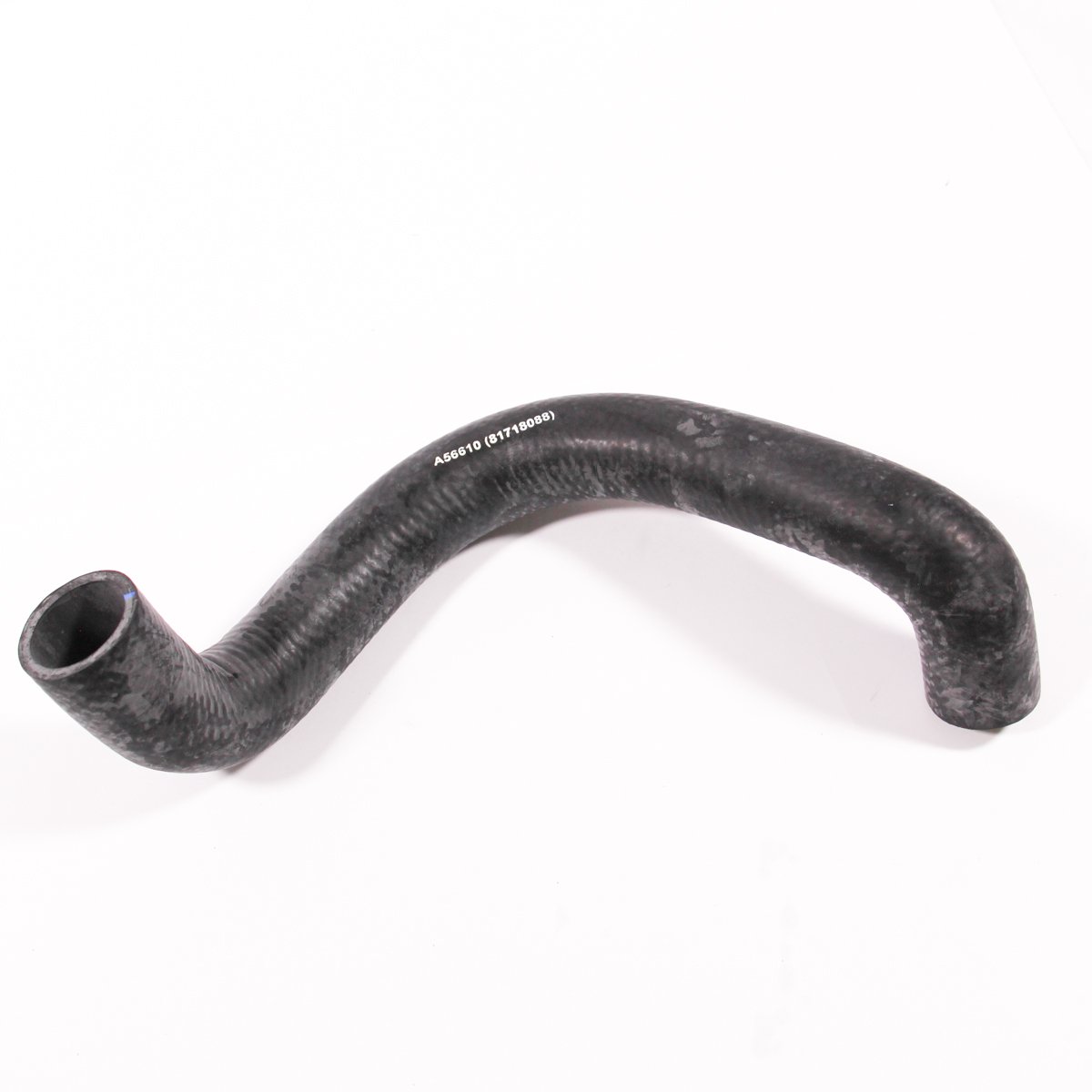 HOSE, LOWER RADIATOR