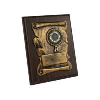 22.5cm Cherry Plaque with 3-D Gold Front