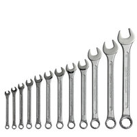 Combination Spanner Set 12pce 6-22mm