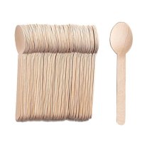 Wooden Birchwood Dessert Spoon (10x100)