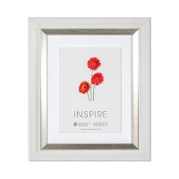 Inspire Frame White & Silver
