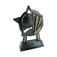 15cm Star Cricket Award (Ant Silver & Gold)