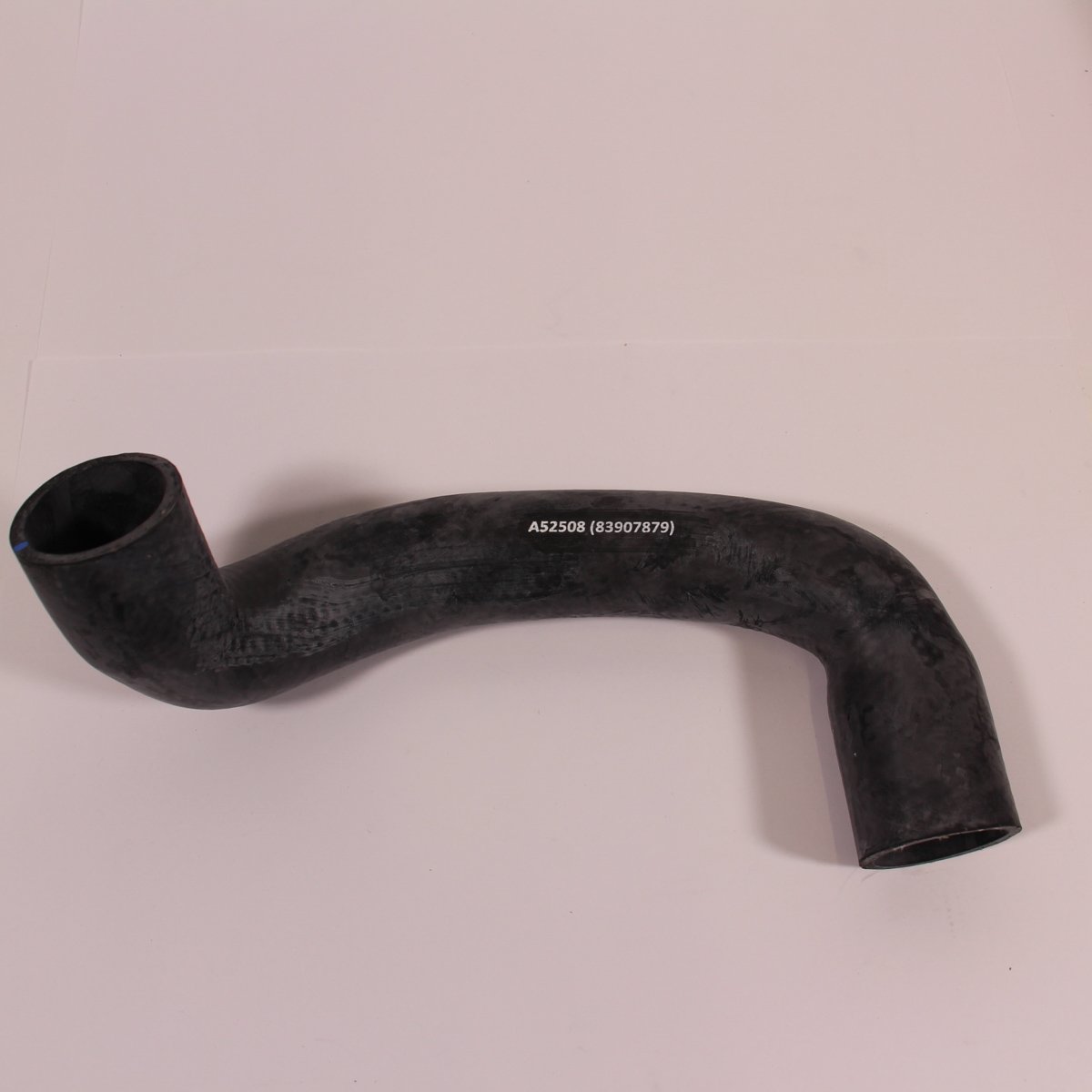 HOSE, LOWER RADIATOR