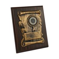 25cm Cherry Plaque with 3-D Gold Front