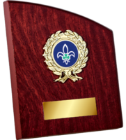 13cm Arched Rose Plaque (V202)