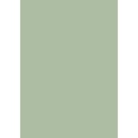 Farrow & Ball Whirlybird Colour Swatch
