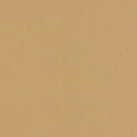 Golden Brushed Metal ST20 ABS Edging 23 x 0.8mm x 75 mtr