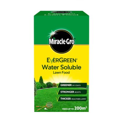Miracle Gro Slow Release Ericaceous Food - 1KG