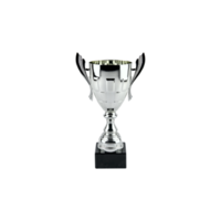 22cm Metal Bowl with Handles