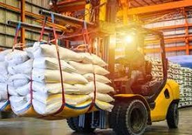 Material Lifting & Loading Equipment