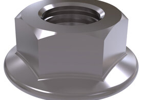 Hexagon Nut with Flange