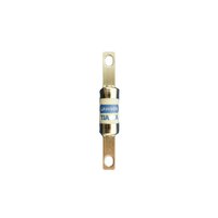 TIA 2AMP BS HRC FUSE