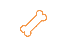 Dog Treats and Chews