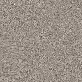 Storm Cloud Stucco - NH13